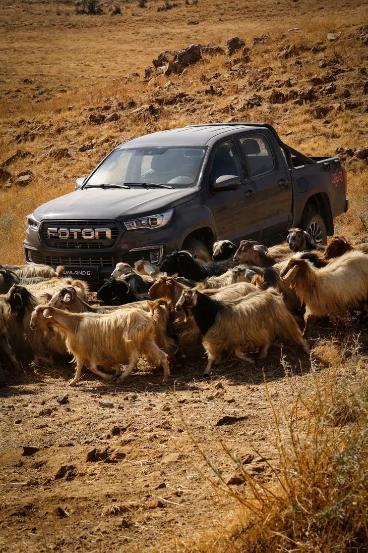 Foton pickup commercial shoot with goats in the Lebanese mountains